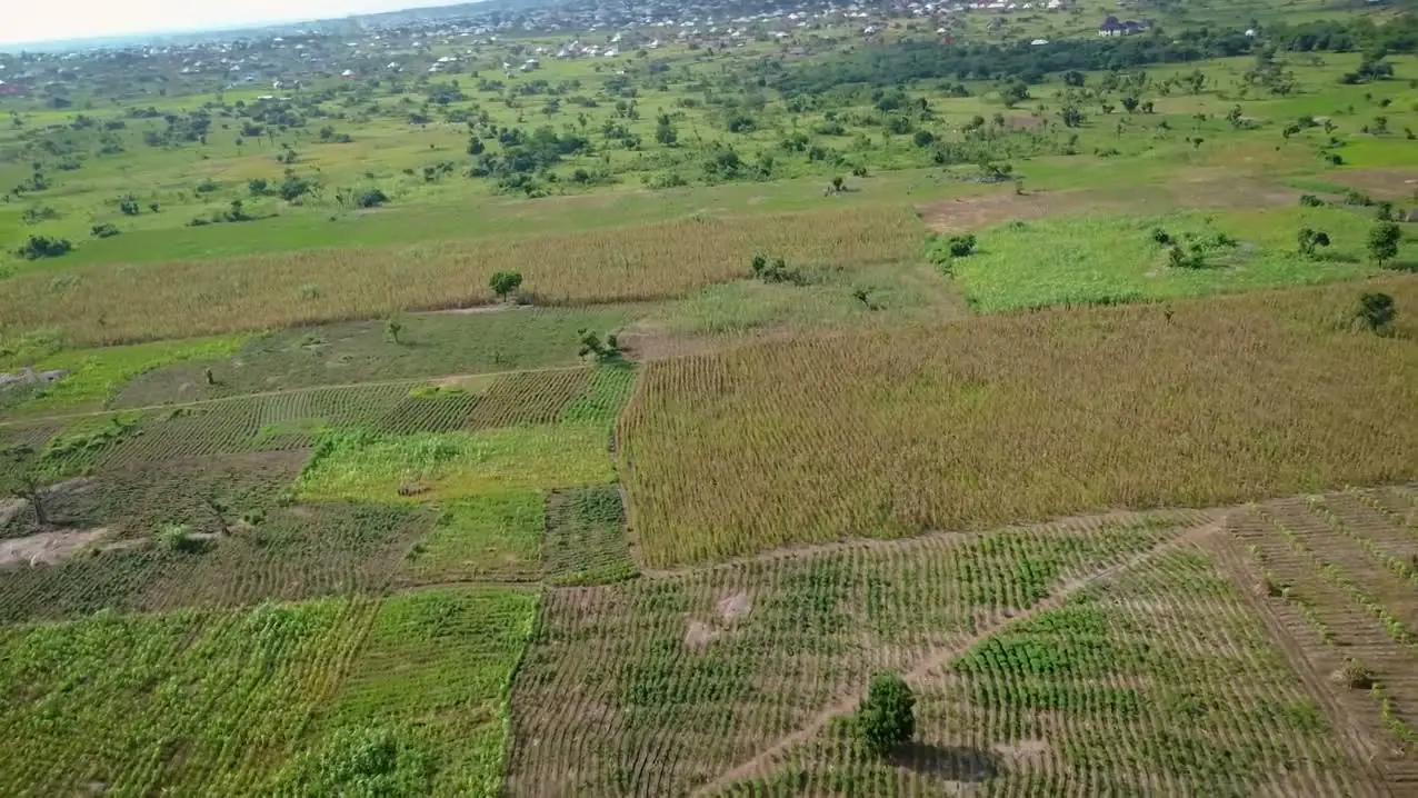 Aerial view over Jaylead farmland: a patchwork of cultivated plots, crop rows and tree cover under a pale sky